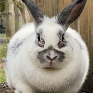 Meet your Posher, Jacki